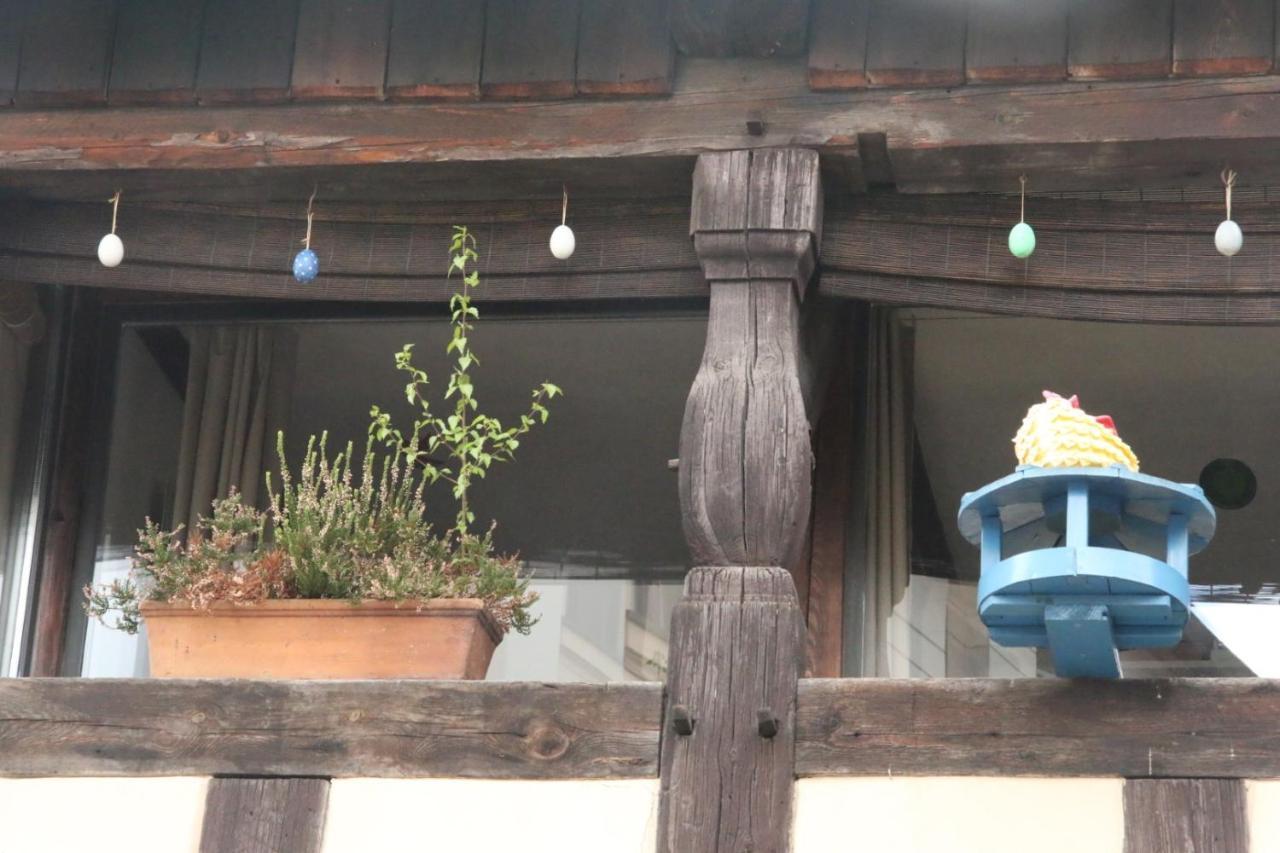 Apartament Gerberhaus Chociebuż Zewnętrze zdjęcie
